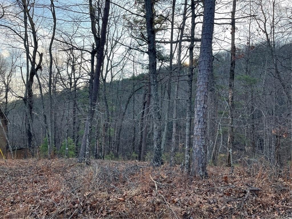 Residential Lot in Gated Community