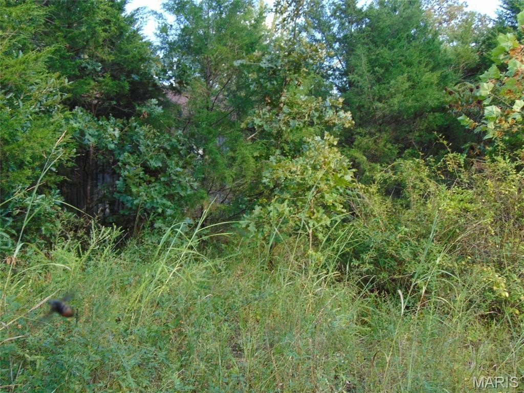 Picture 10