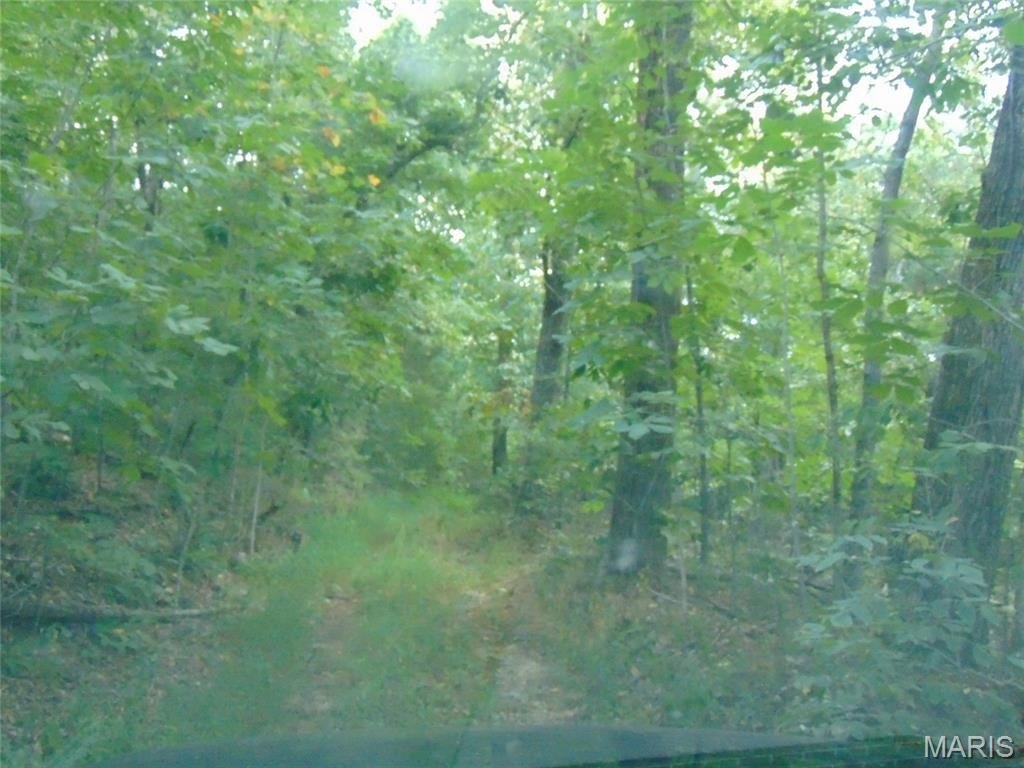 Picture 7