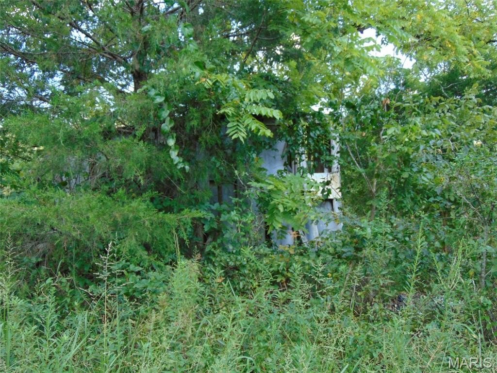 Picture 8