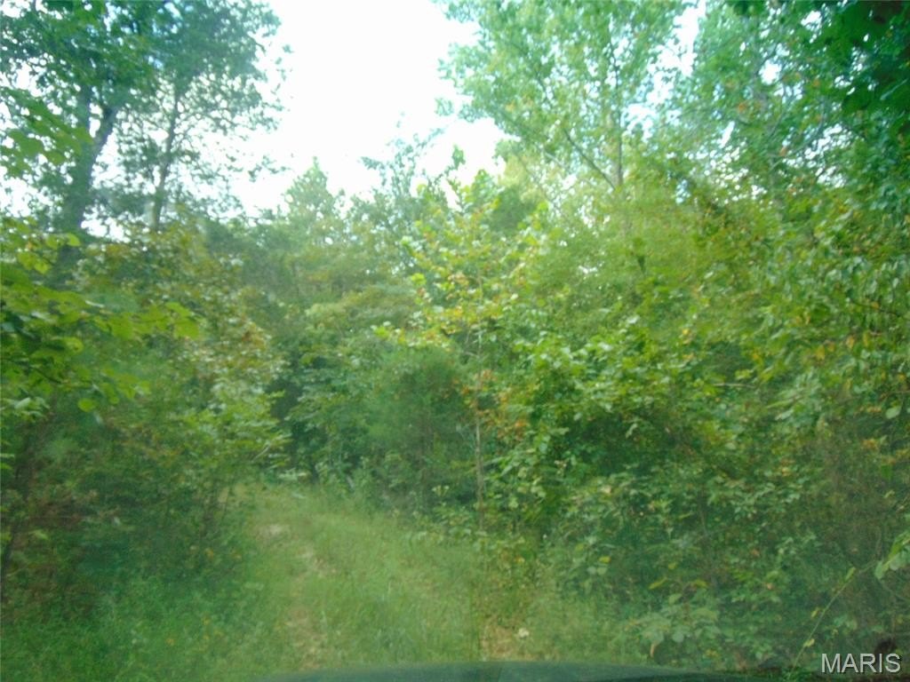 Picture 5