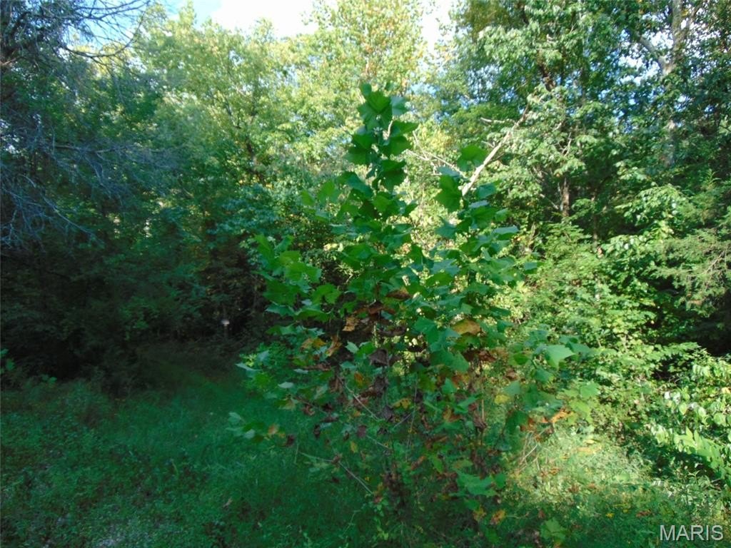 Picture 3