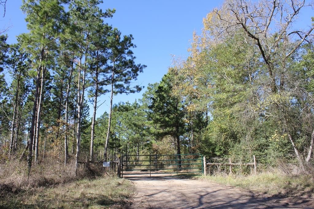 Picture 19