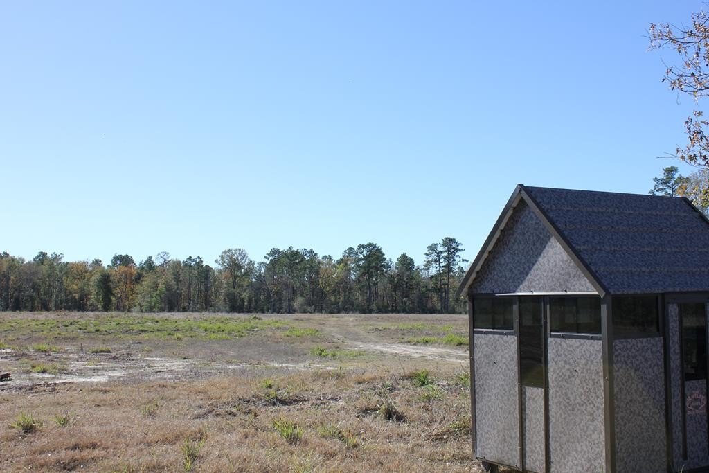 Picture 15