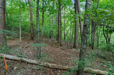 Talking Rock Mountain Retreat Lot