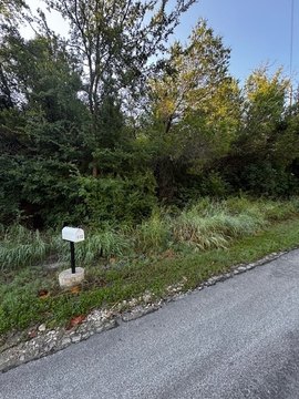 Unimproved Waterfront Recreation Land