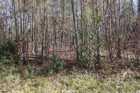 Lake View Residential Lot