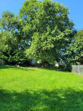 Roanoke Land with Alley Access