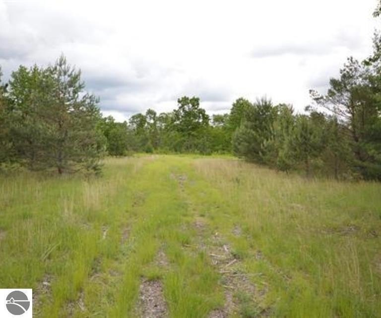 Picture 11