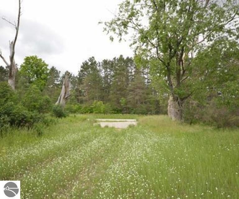 Picture 8
