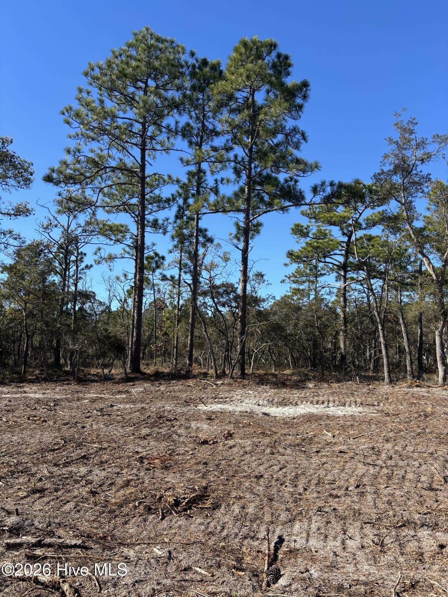 Southport, NC Land For Sale