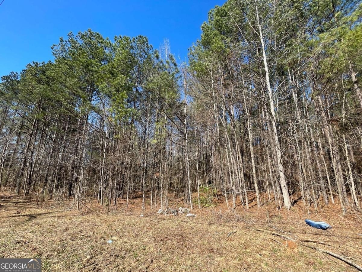 Development Land in Covington, Georgia