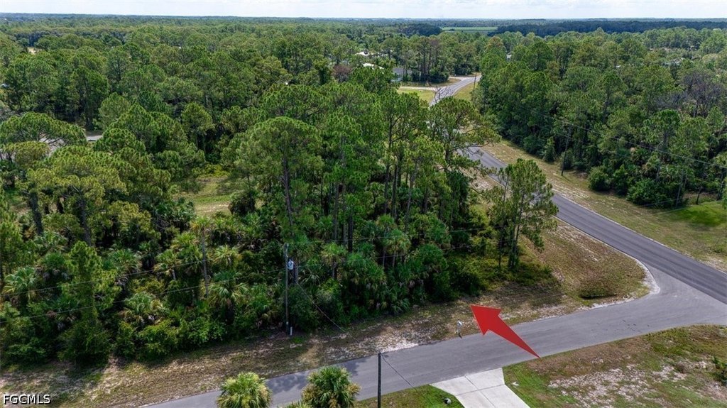 Picture 8