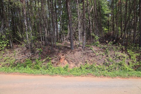 Cleared Lot Ready for Home