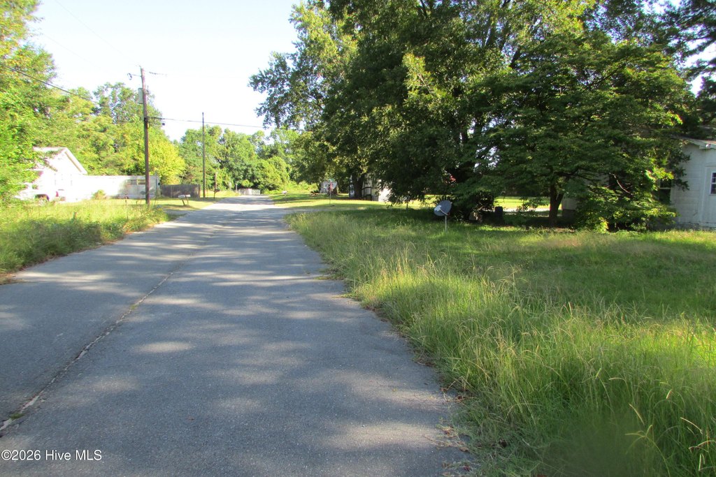 Picture 5