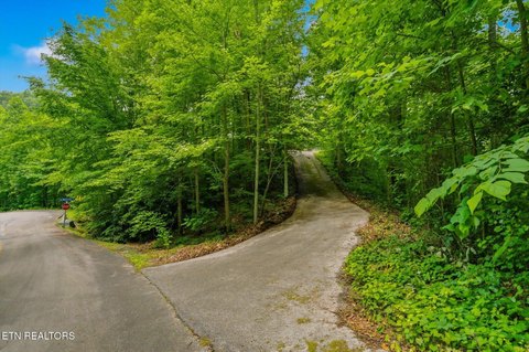 Lots & Acreage, Sevierville, TN