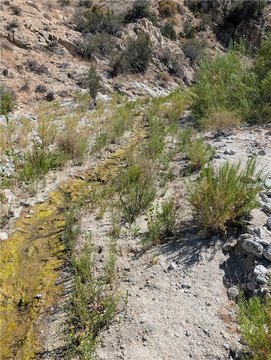 LAND - Morongo Valley, CA