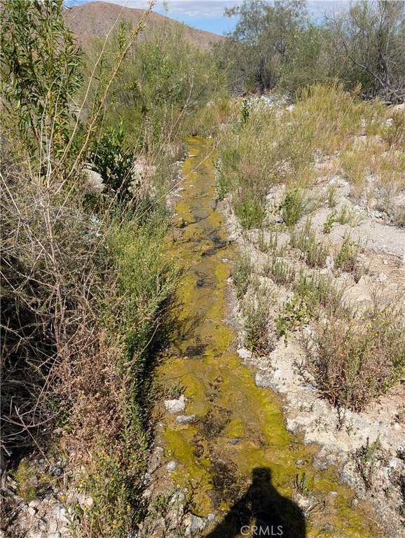 Picture 2