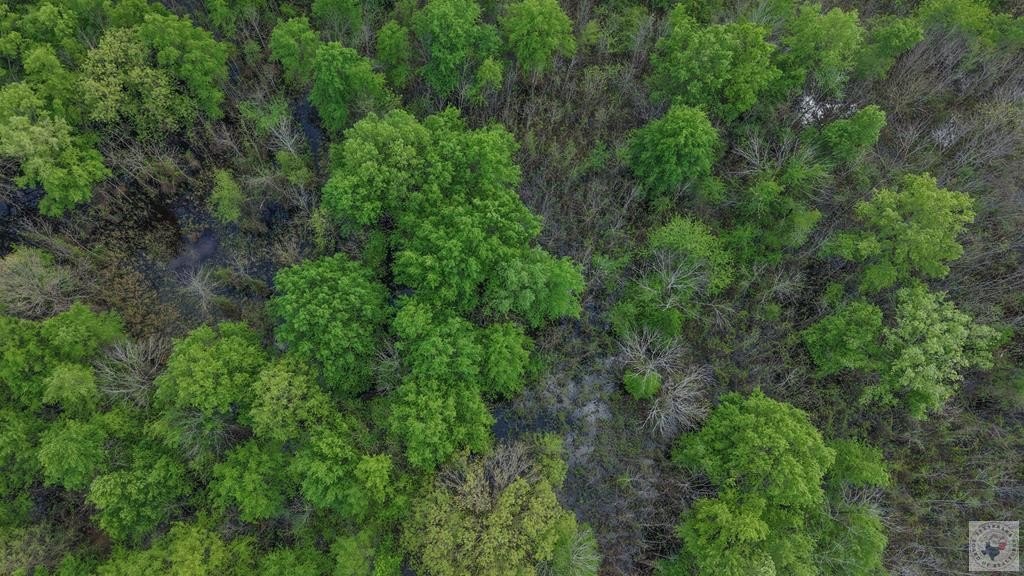 10 Acre Wooded Land Tract