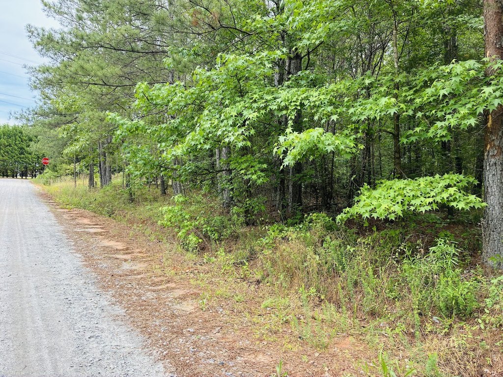 Picture 7