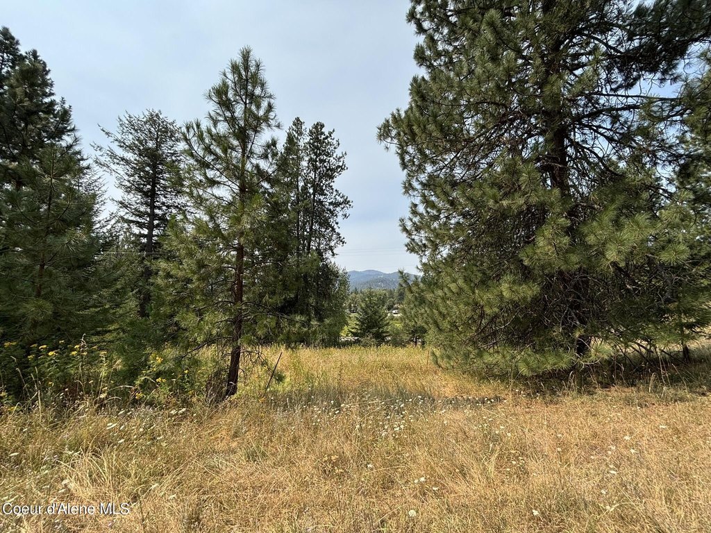 Picture 23