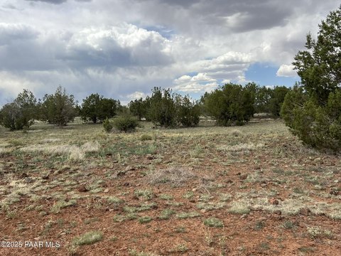 Treed Flat Residential Land Lot