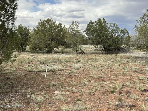 Heavily Treed Land in Williams