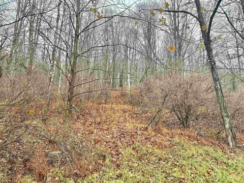 Roanoke, WV Buildable Land