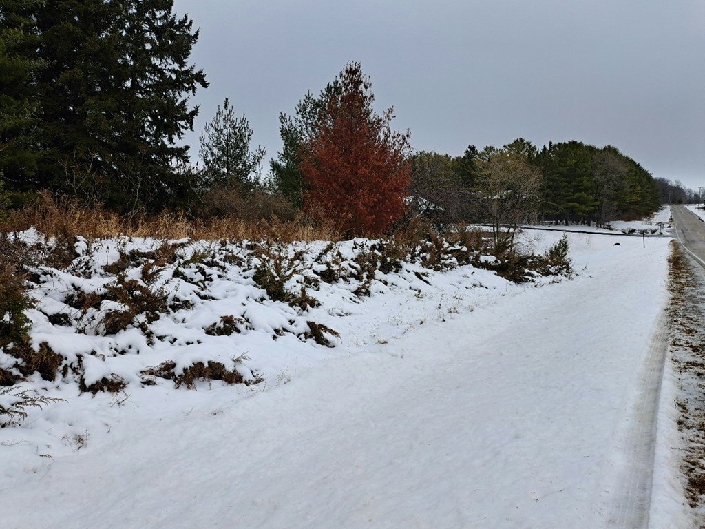 Picture 4