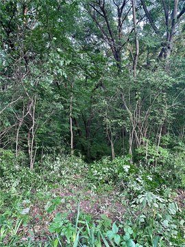 LAND - Van Meter, IA