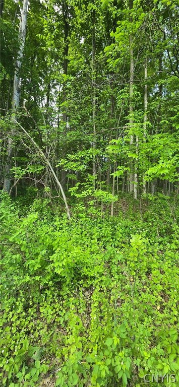 Picture 3