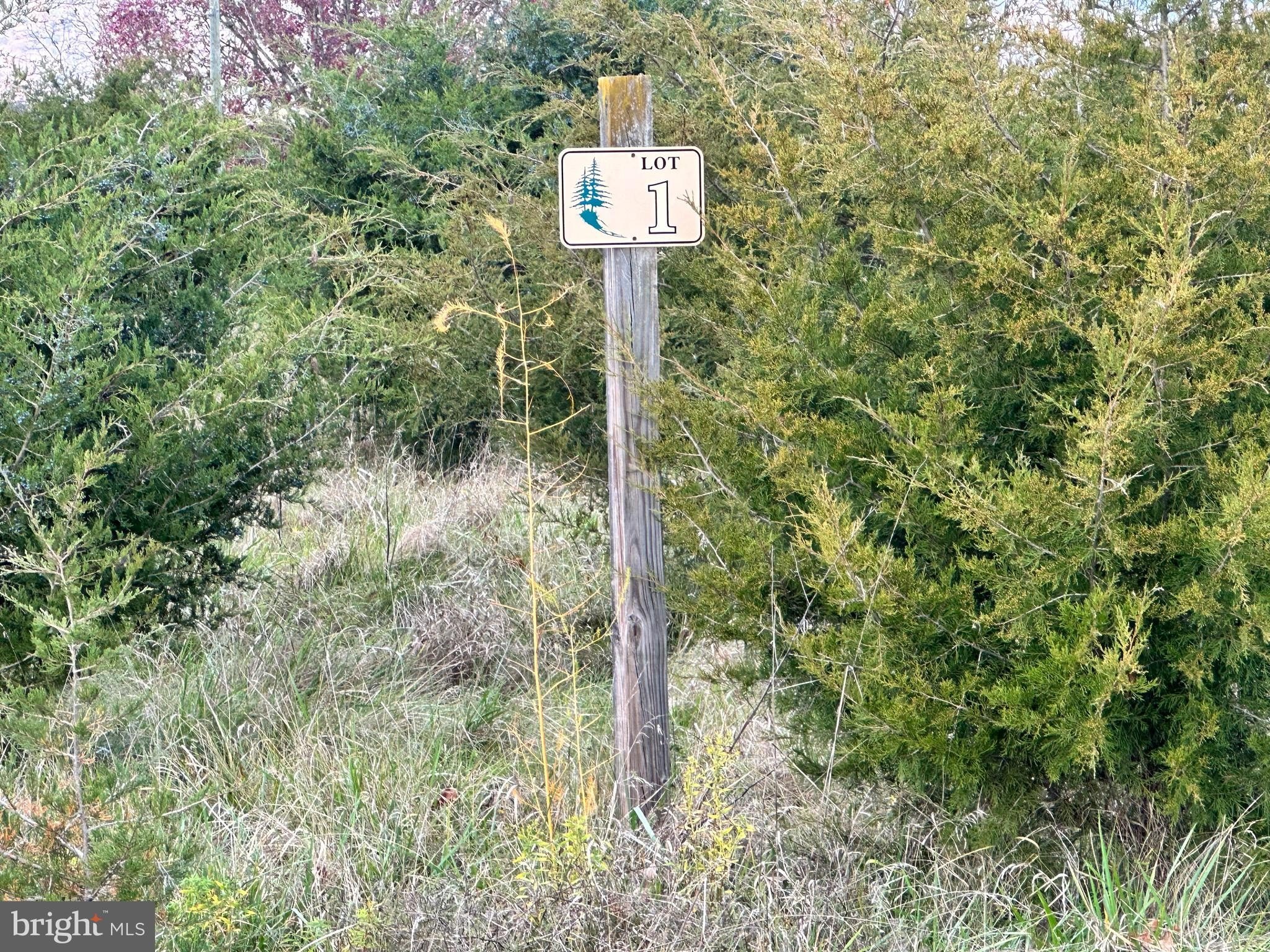 Land For Sale, Keyser, WV
