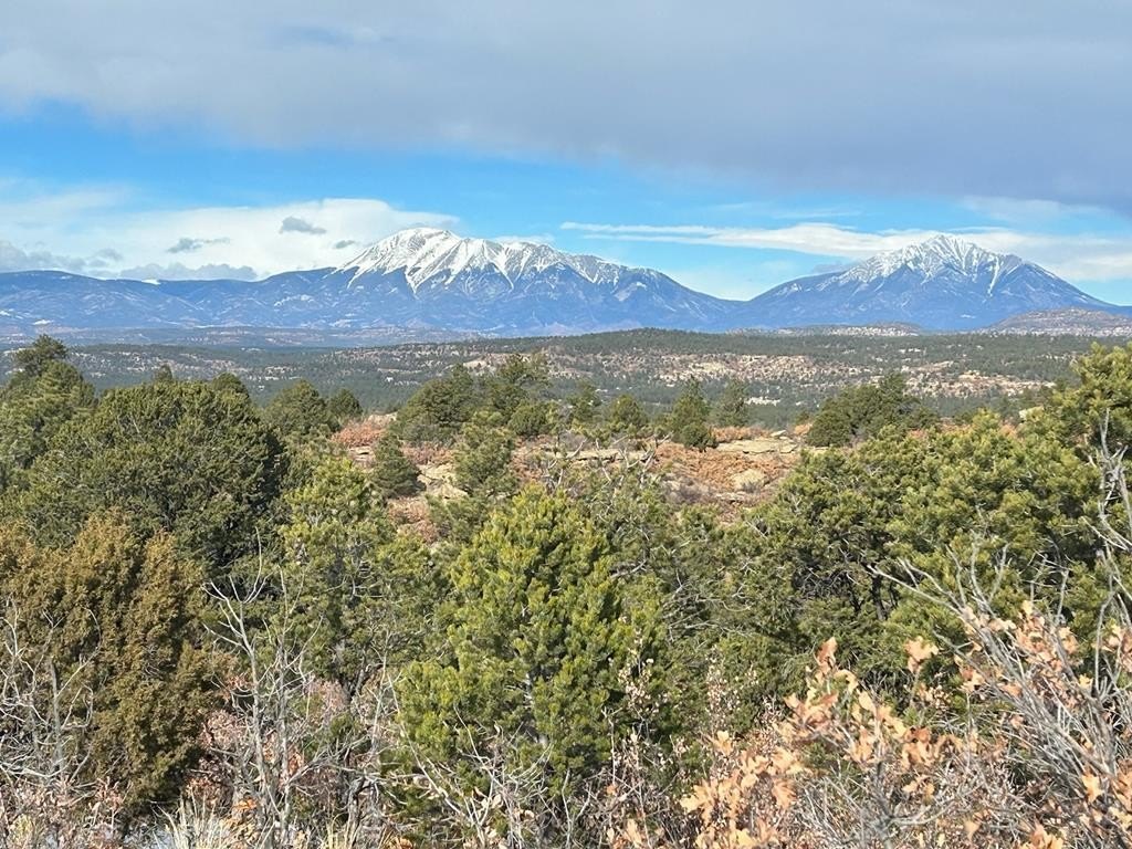 Primero Ranch Land For Sale