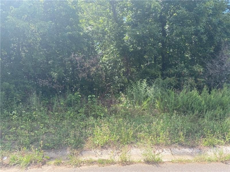 Residential Land in Established Neighborhood
