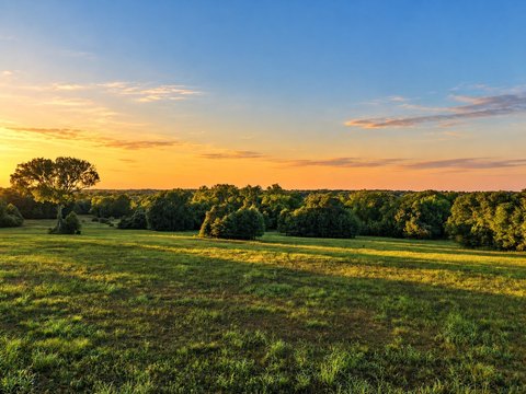 Land, Washington, TX