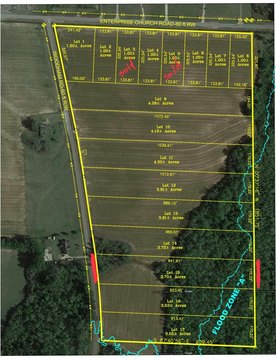 Residential Land in Ashford, AL