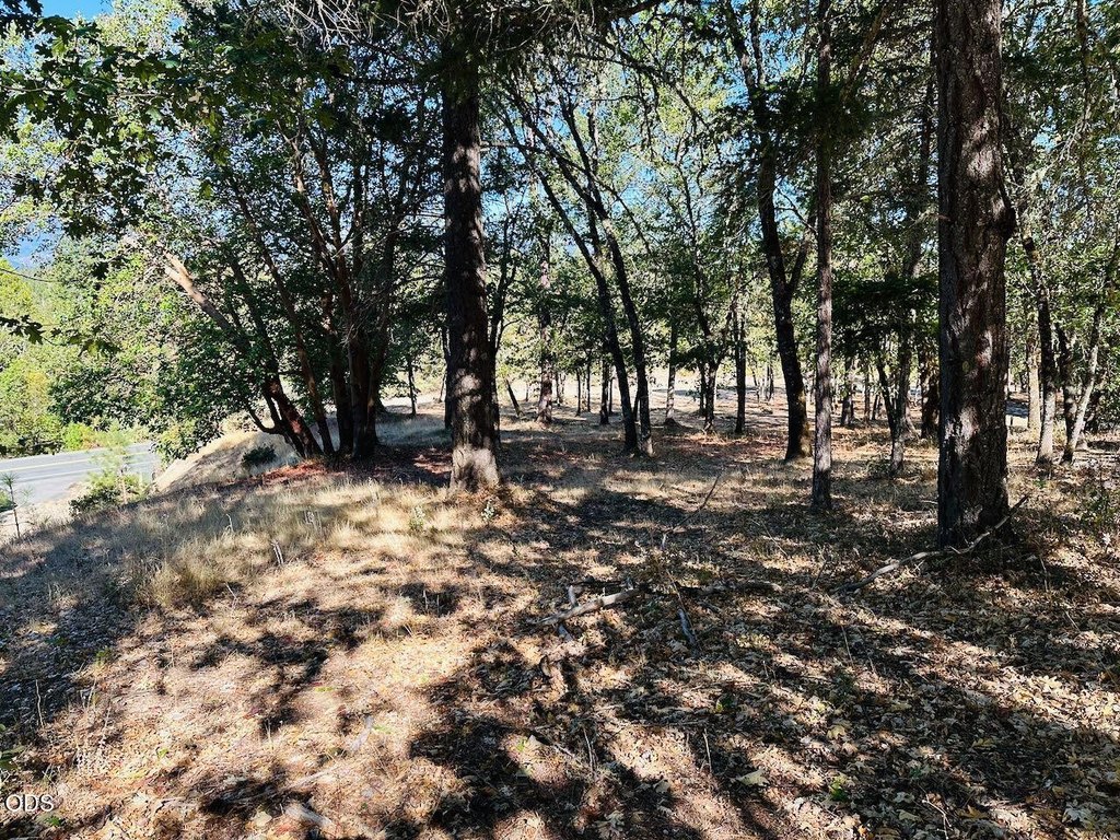 Picture 17