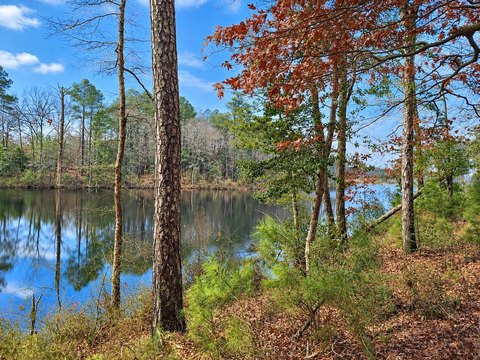 Eastern Shore Land Opportunity