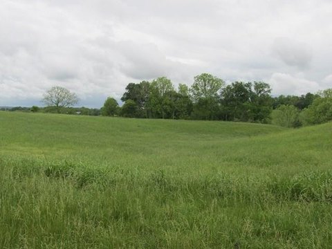 Residential Land in Cookeville, TN