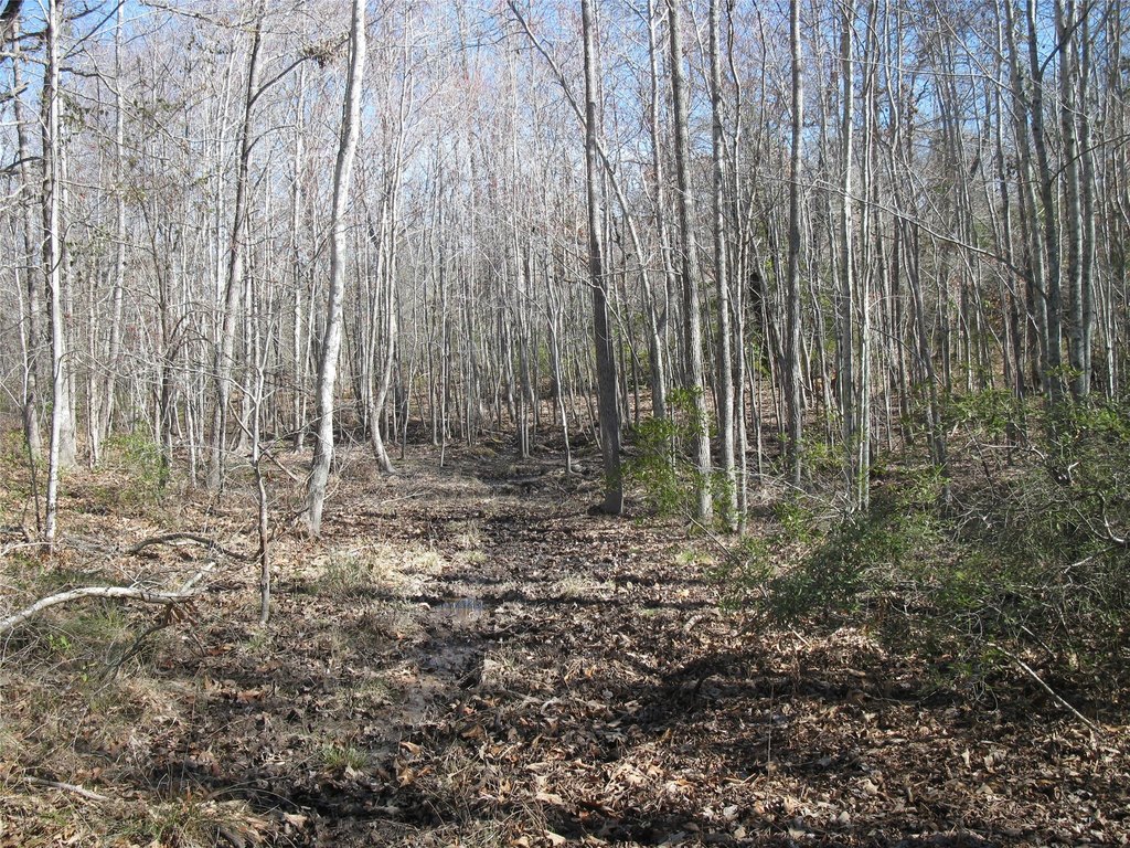 Picture 16