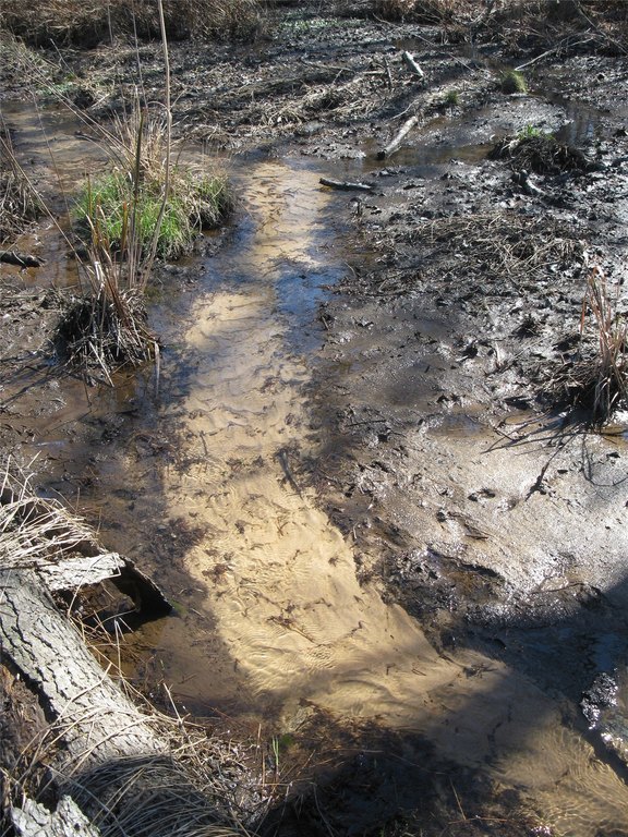 Picture 19
