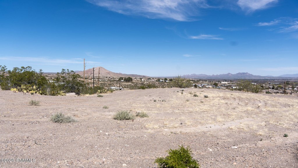 Picture 4