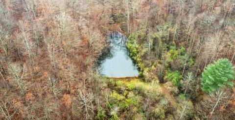 Mountain Hunting Land Acreage