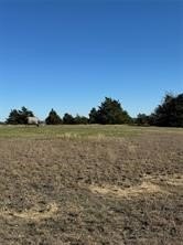 Picture 10