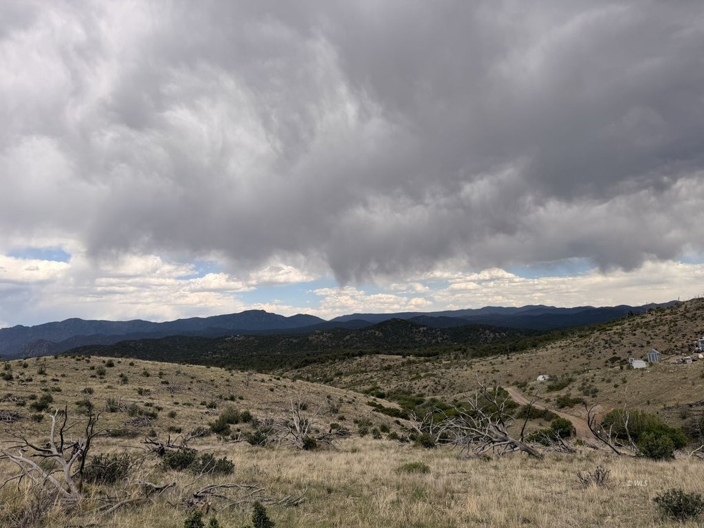 Picture 20