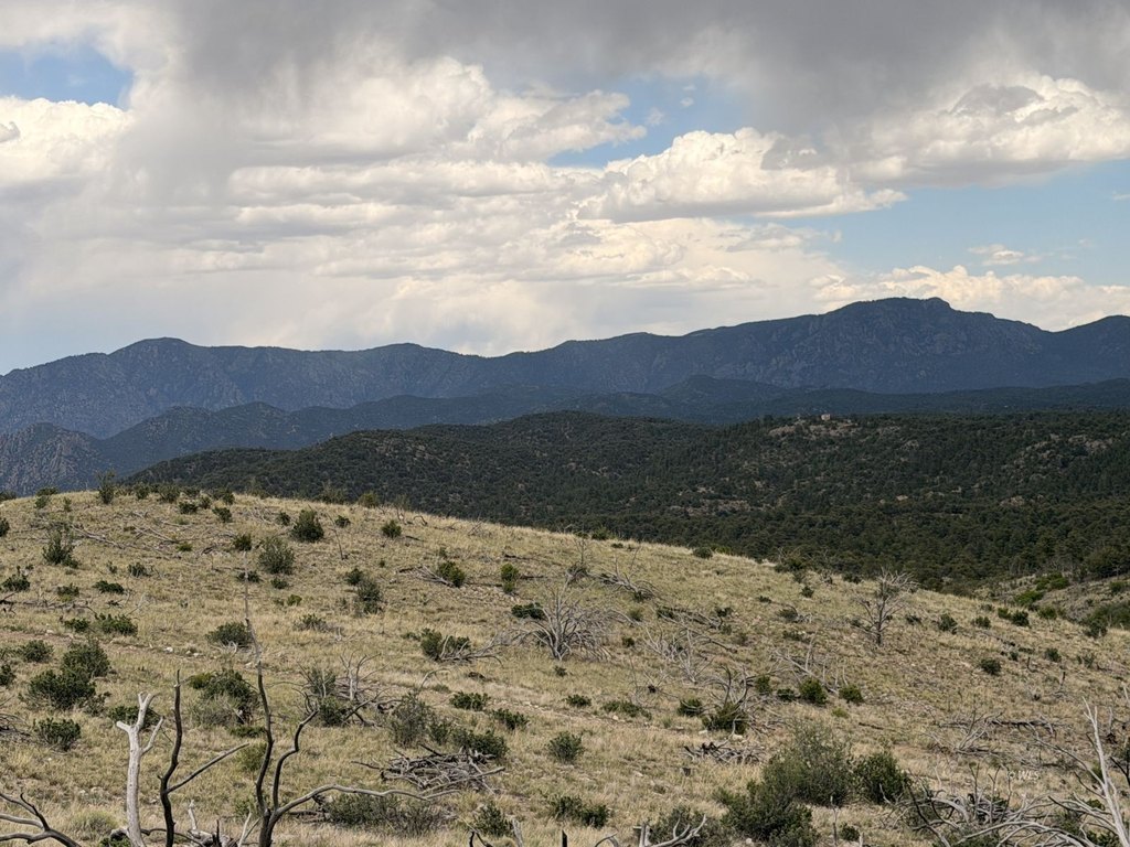 Picture 16