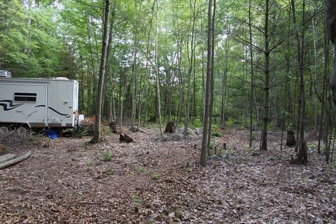 Residential Land in Ware, MA