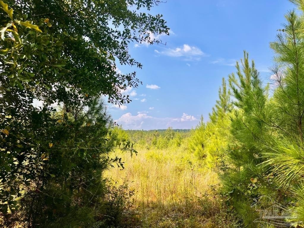 Molino Acreage Homesite Opportunity