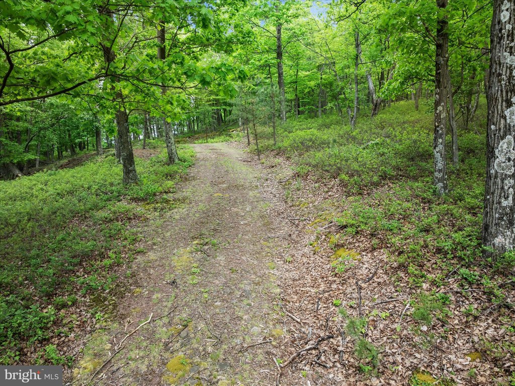 Picture 3