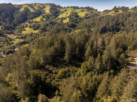 Residential Acreage in Forest Knolls